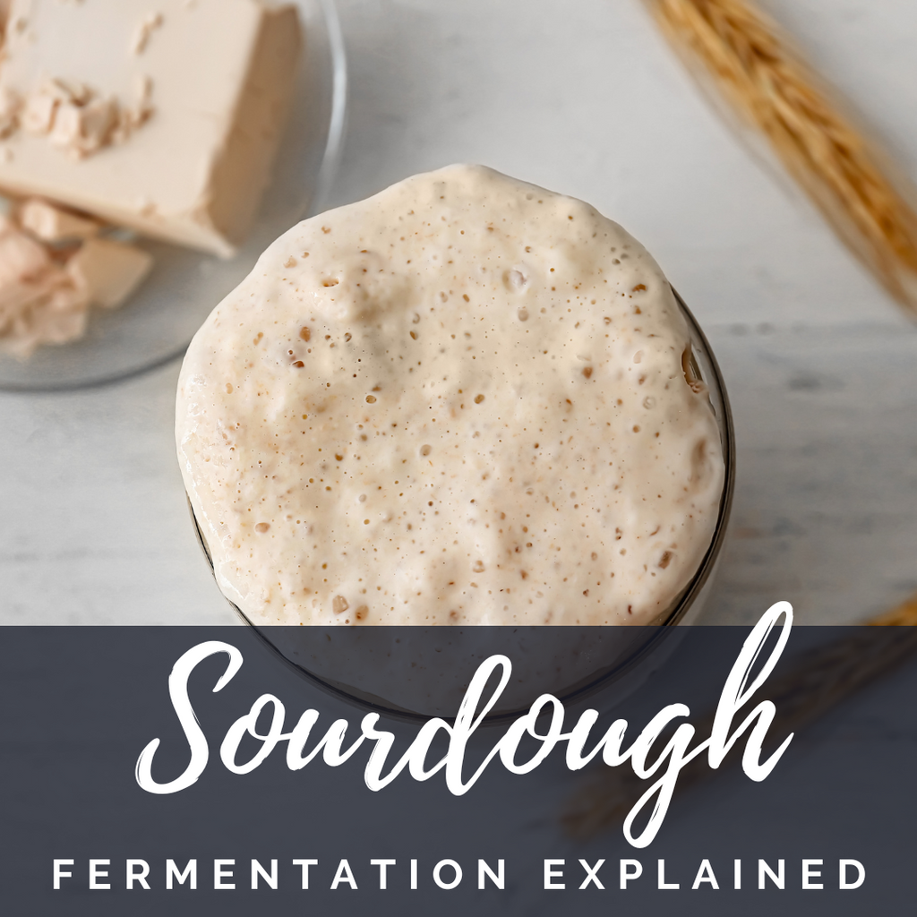 Sourdough Starter Fermentation Explained: How Wild Yeast and Bacteria Work Together